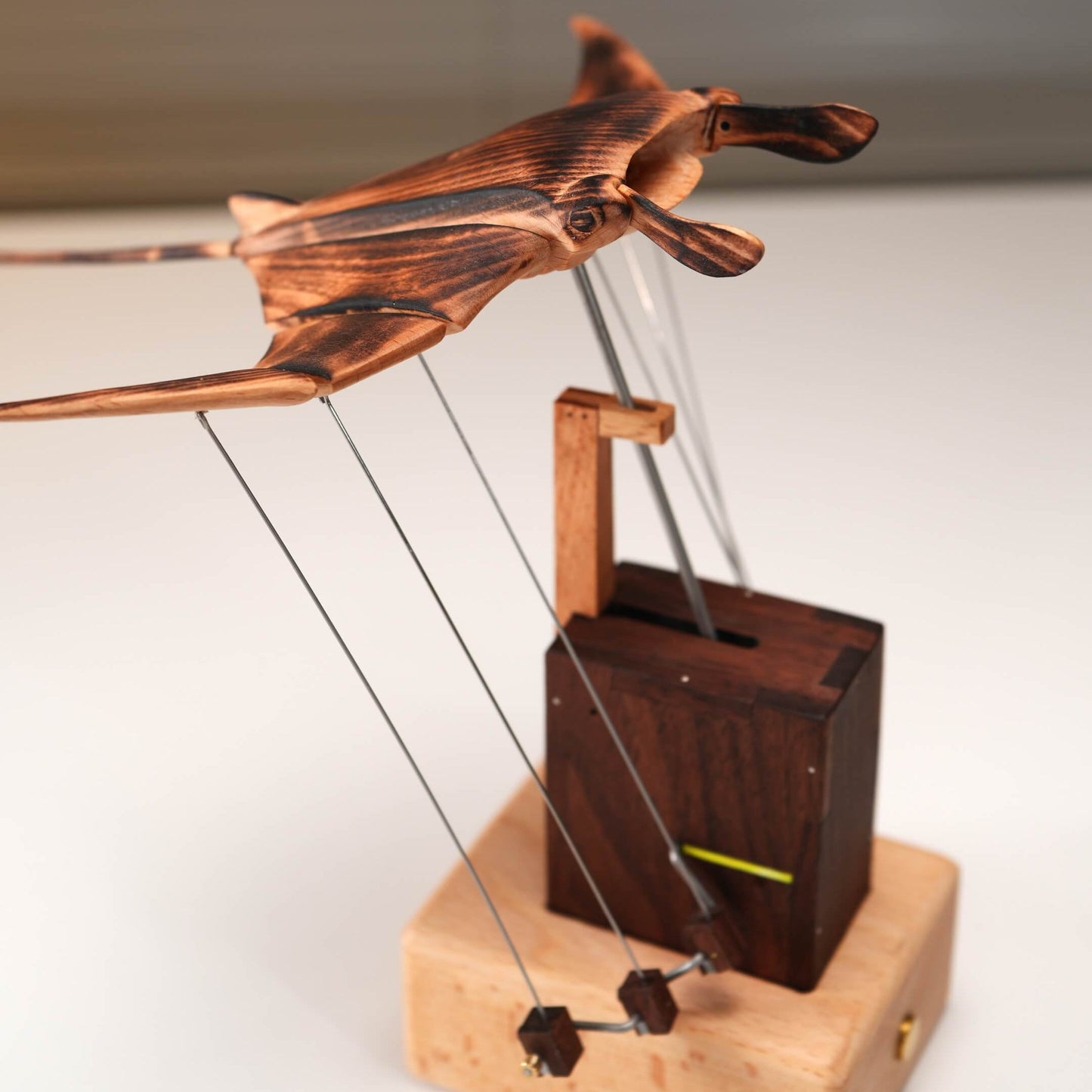 Sienna Saphir® Handcrafted Wooden Manta Ray Automated